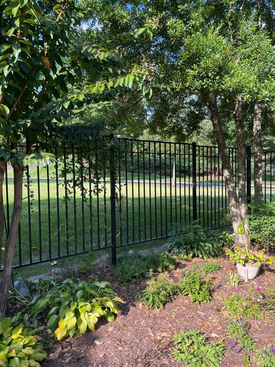 Ornamental black iron fence in garden landscape